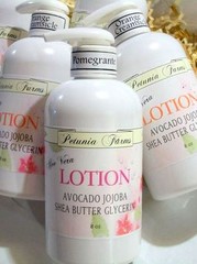 CHOCOLATE MILK fragrance HAND & BODY SHEA BUTTER ALOE VERA LOTION