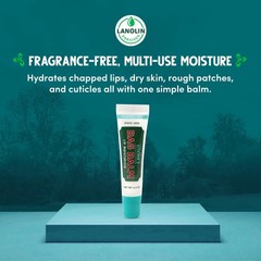 Vermont&rsquo;s Original Bag Balm Fragrance Free Lip with Vitamin E | clear