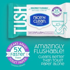 Nice &lsquo;N Clean SecureFLUSH Flushable Wet Wipes (42 Count – 6 Packs) | Moist Toile