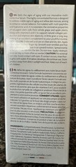 Latoua Mille Age-Defying Apple & Grape Extract Serum Hyaluronic Acid Peptide 1oz