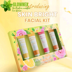Janet Ayurveda Easy Facial Kit Glow Bright Acne Dry Skin Home Facial Set