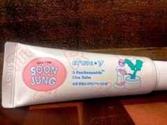 ETUDE HOUSE EARTH DAY SoonJung 5 Panthensoside Cica Balm 40ml VEGAN 2025