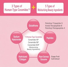 CEZANNE Intensive Hydro Mask Human-Type Ceramide 7 Sheets 3 Packs Japan