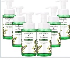 Swiffen 6 Pack Eucalyptus & Spearmint Foaming Moisturizing Hand Soap w/ Pump