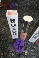 Buxom plump shot sheer tint lip serum new in box select your shade