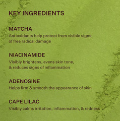 SALE SALE – PEACH & LILY Matcha Pudding Antioxidant Cream ( 1.69 oz) – NIB