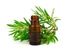 Bali Alus, Facial Foam, 150ml, Tea Tree (Pack of 1)