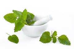 Anti-aging Hibiscus Salve #NaturalGoodness