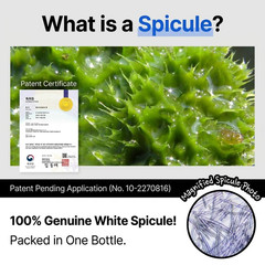 [K Beauty] Mediorga Blue Spicule Needle Shot Essence 30ml / 1.01oz Pore Care