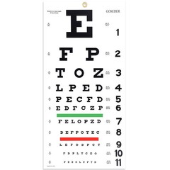 Snellen Eye Chart, Eye Charts for Eye Exams 20 Feet 22×11 Inches, Low Vision Eye