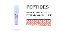 RENOVAGE™ TEPRENONE CELL DNA REPAIRING PEPTIDE