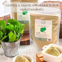 Centella Asiatica powder from Thailand 50g