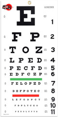 Snellen Eye Chart Eye Charts for Eye Exams 20 Feet 22×11 Inches Low Vision