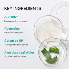Turnover Mask c-PDRN – Salmon DNA Sheet Masks for Firming, Hydration & Repair