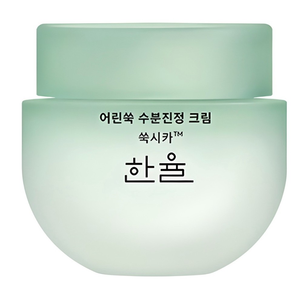 HANYUL Pure Artemisia Watery Calming Cream 55ml Hydrating Moisturizer K-Beauty