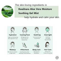 California grown Aloe Vera Moisture Soothing Gel Mist 4.23 Fl oz., 95%, K-Beauty