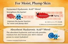 US seller: Rohto Hadalabo Gokujyun Premium hydrating lotion refill 170ml x 5 PCs