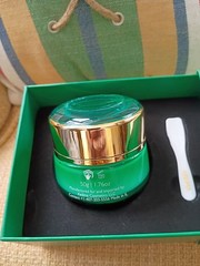 Kedma Collagen Neck & Decollete Cream Dead Sea Minerals Collagen. NIB