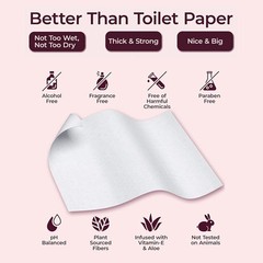 Booty Wipes Gentle Cleansing Wipes Aloe Vera Vitamin E Flushable 80 Count