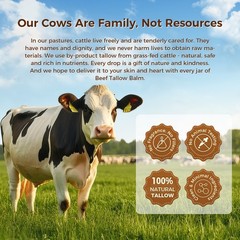 OUKEYA Beef Tallow Balm 100% Grass-Fed & Raw Honey For Skin Hydration Cream 110g
