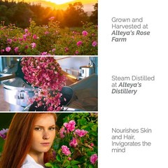 Alteya USDA Certified Organic Bulgarian Rose Water (From New Rose Harvest)