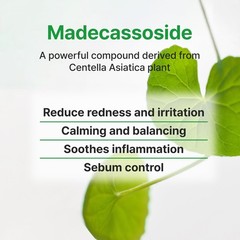 Face Republic Calming Tea Tree Madecassoside Serum 45Ml 1.52 Fl Oz Lightweight