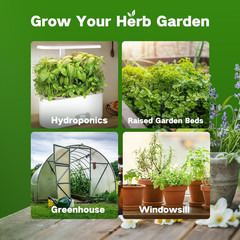 Herb Seed Kit: 36,000+ Non-GMO Heirloom Seeds for Medicinal Gardening