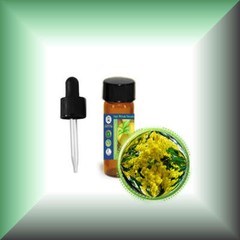 Cassie Sweet (Acacia Farnesiana) Absolute Oil