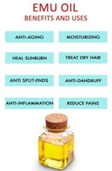 Emu Oil HAND & BODY LOTION/Cream – 100% Natural, Organic Ingredients – Unscented