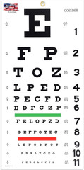 Snellen Eye Chart, Eye Charts for Eye Exams 20 Feet 22×11 Inches, Low Vision Eye