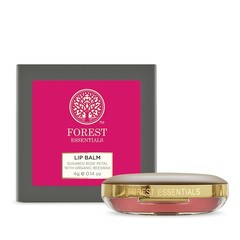 Forest Essentials Rose Lip Balm | Nourishing Lip Balm With Kokum Butter 4 gm