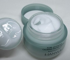 HANYUL Pure Artemisia Watery Calming Cream 55ml Hydrating Moisturizer K-Beauty