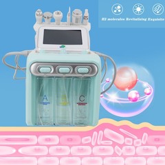 6 In 1 Facial Care Machine Hydrogen and Oxygen Small Bubble Machine AC110V 200W