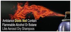 Dry Shampoo with Applicator Brush & Refill Clean & Refresh Brunette