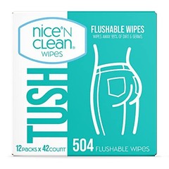 Nice &lsquo;N Clean Flushable Wipes for Adults, 504 Count (12 Packs of 42)