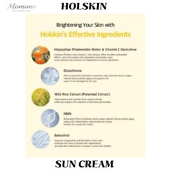 [K-Beauty] Holskin Vita C Dark Spot Care Tone-up 55ml Sun Cream