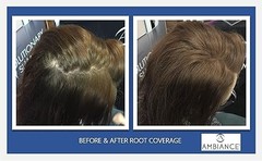 Dry Shampoo with Applicator Brush & Refill Clean & Refresh Brunette