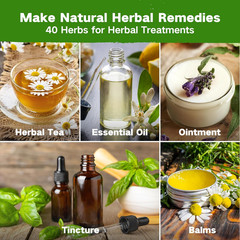 Herb Seed Kit: 36,000+ Non-GMO Heirloom Seeds for Medicinal Gardening