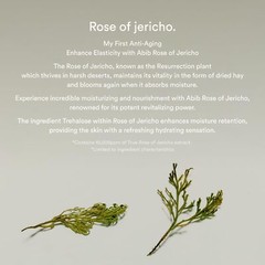 Abib Jericho Rose Bifida Serum Firming Drop, Visibly Smooths Textured Skin