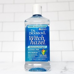 T.N. Dickinson&rsquo;s Witch Hazel Alcohol Free 16 Ounce (Pack of 1), Clear