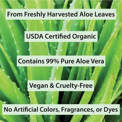 Organic Aloe Vera Gel – Soothing Skin & Face Moisturizer, After Sun Care, 12 oz