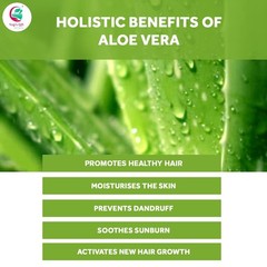 Aloe Vera Powder 8 oz | Moisturizing Face Mask Ingredient 8 Ounce (Pack of 1)