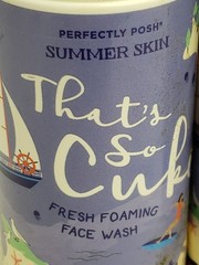 PERFECTLY POSH Summer Skin That&rsquo;s So Cuke Face Wash 3.5 fl oz Lot Of 2