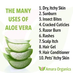 Organic Aloe Vera Gel – Soothing Skin & Face Moisturizer, After Sun Care, 12 oz