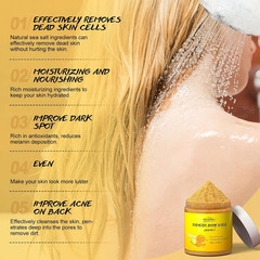 Turmeric Vitamin C Body Scrub Exfoliating Deep Cleansing Loofah for Dark Spots