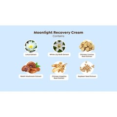 The Beauty Spy Wei East White Lotus Moonlight Recovery Cream 1.7 oz New & Sealed