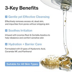Licorice Deep Pore Facial Cleanser, for Double Cleansing, Centella Asiatica +…