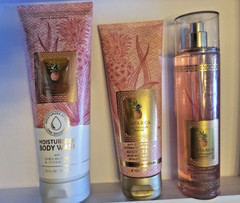 3 pc set Bath & Body Works PINK PINEAPPLE SUNRISE Body Cream Wash and Mist NEW