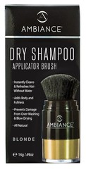 Dry Shampoo with Applicator Brush & Refill Clean & Refresh Brunette