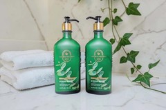 Bath & Body Works Eucalyptus Spearmint Lotion 2 Pack Stress Relief 6.5 oz New